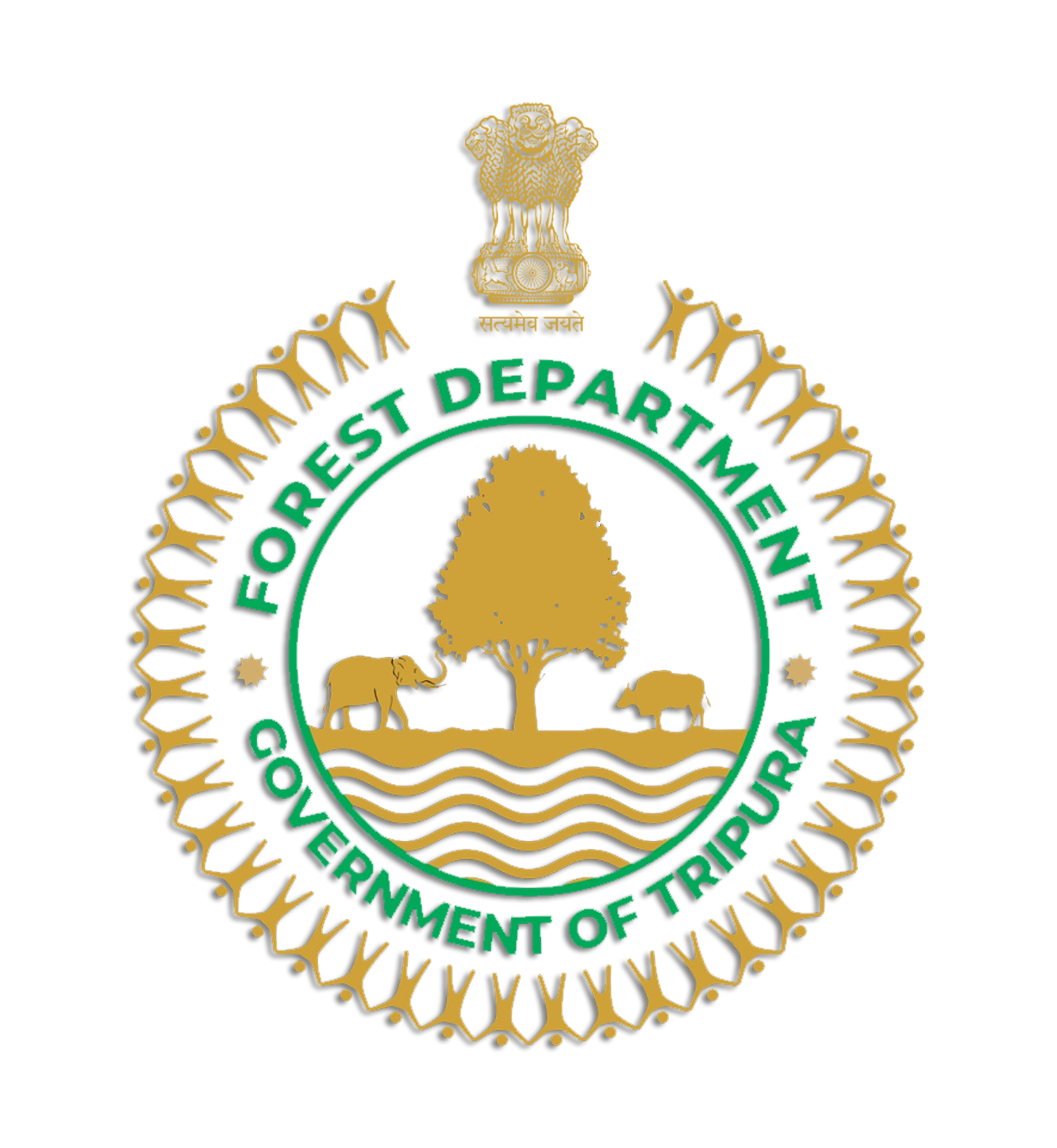 GOVERNMENT OF INDIA  FOREST DEPARTMENT