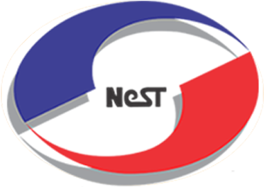 NeST Digital Academy